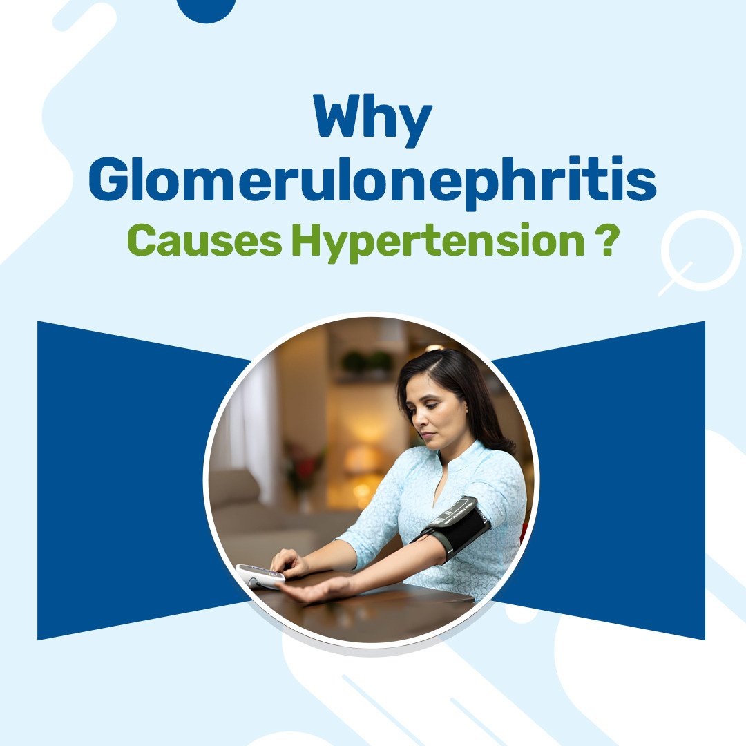 Why Glomerulonephritis Causes Hypertension