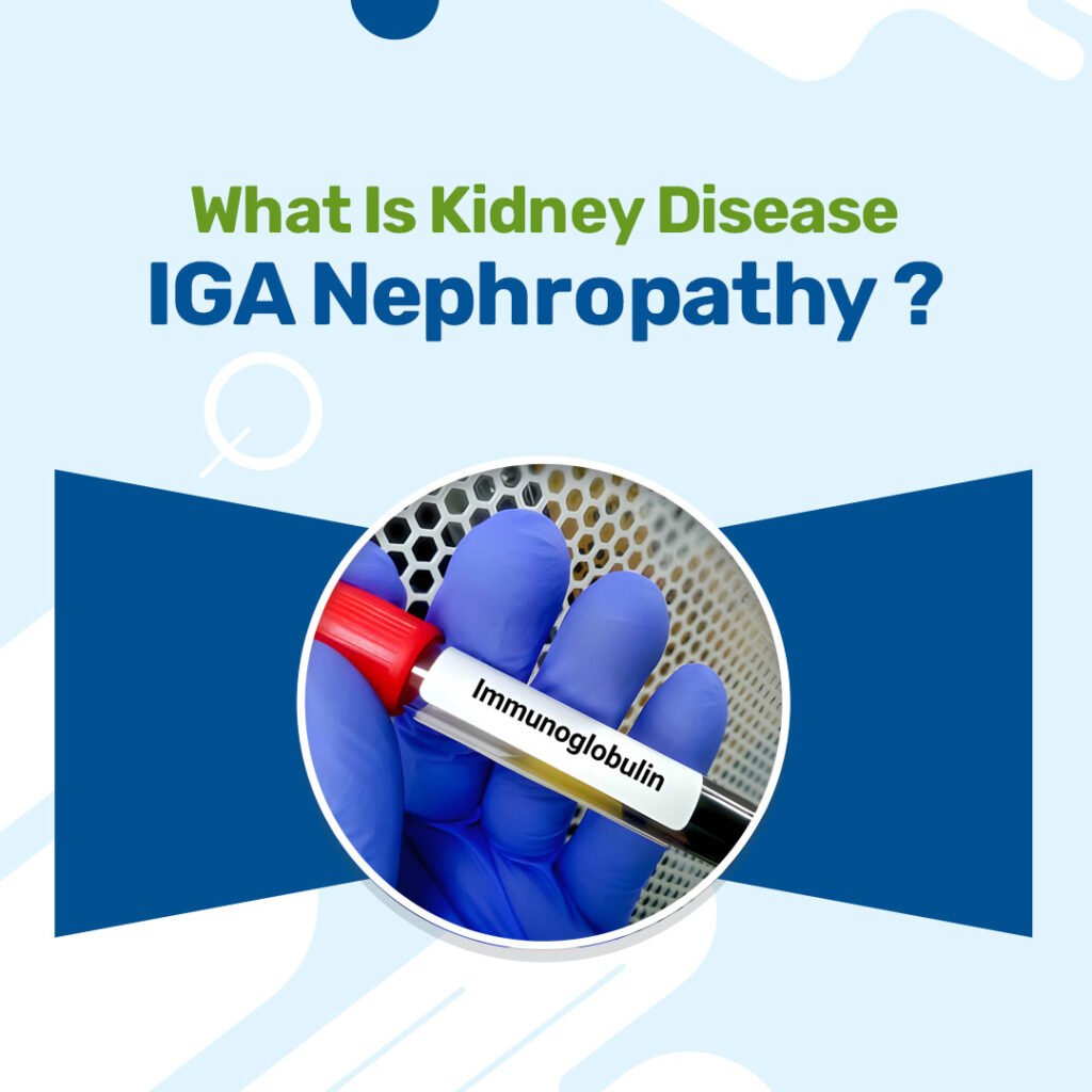 Kidney Disease IGA Nephropathy